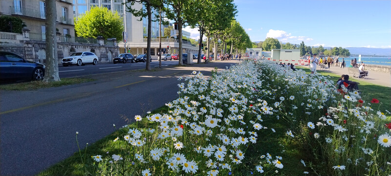 photo,suisse